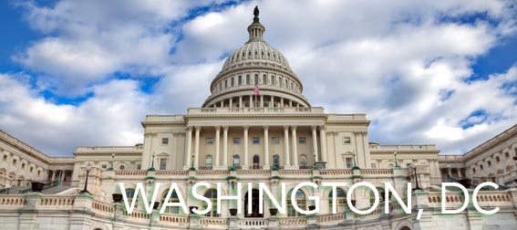 Washington DC Capitol